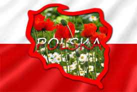 Бесплатные консультации по поиску работы в Польше